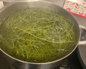 שרביטן מצוי שרביט הקסמים - הכנת מיצוי